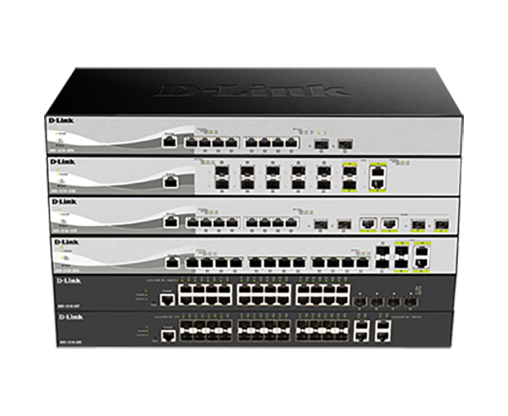 DXS1210Series